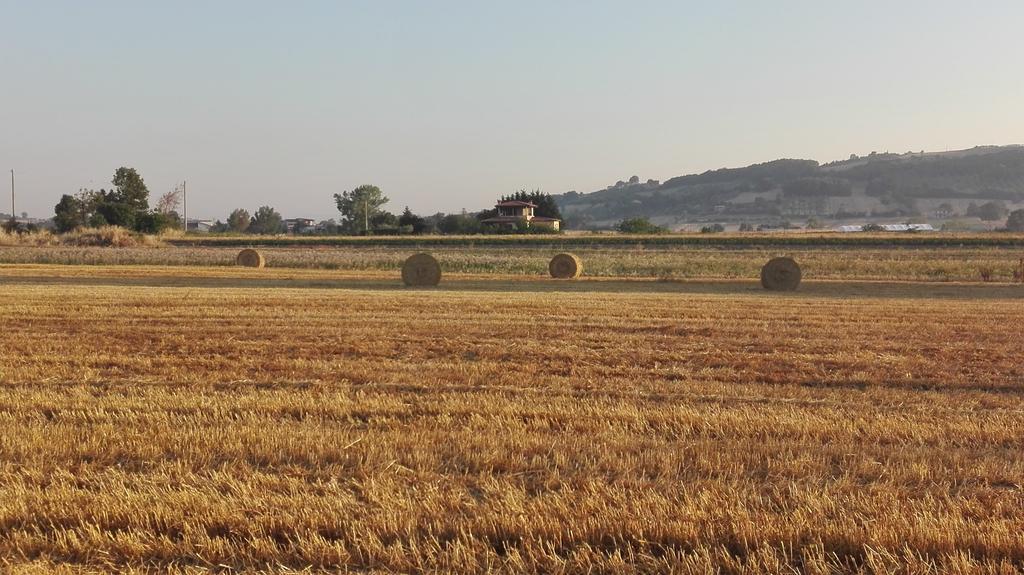 Agriturismo La Vecchia Cascina Di Paolo & Belinda Villa Pietrelcina Exteriör bild